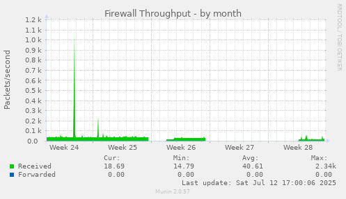 Firewall Throughput